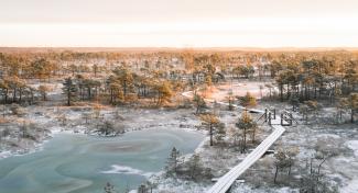 Panoramic view over the swamp in sunrise at Ķemeri national park, Latvia. First snow covering the iconic landscape. Sunlight shines over the frosty marsh