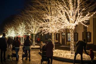 Ogre, Latvija – 2021. gada 28. novembris: Apgaismoti koki tumsā, ziemā ar gaismas ķēdēm Ogre gājēju ielā