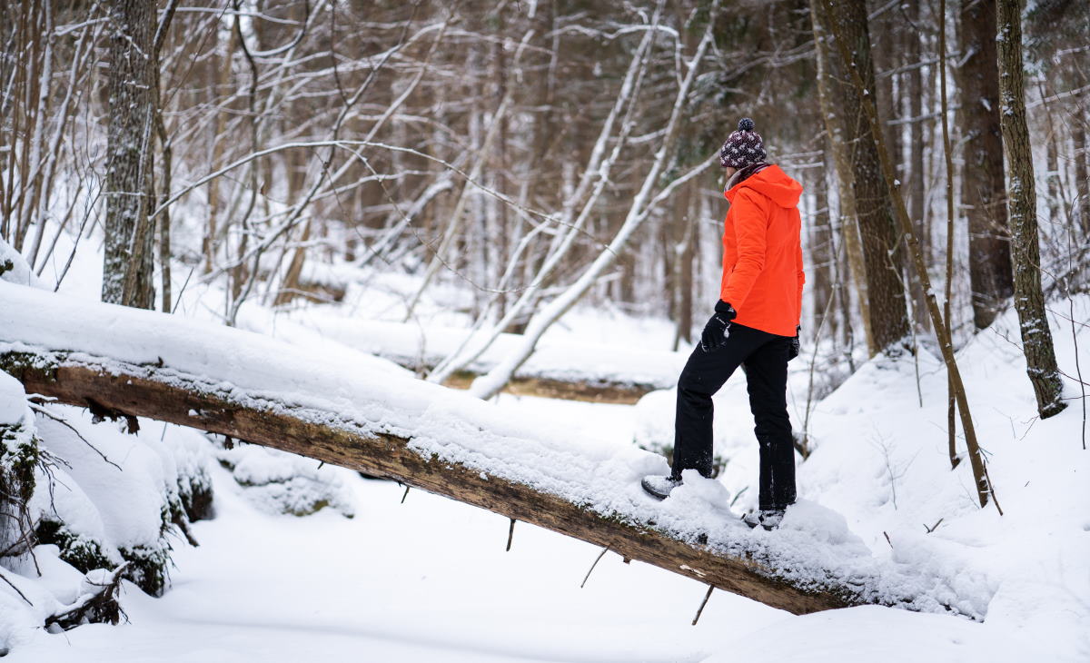 Milzkalns — winter recreation complex