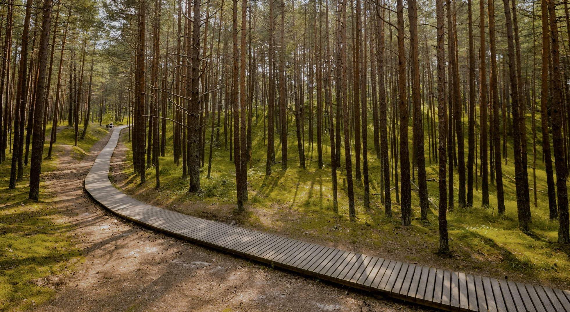 Best nature parks in Latvia | latvia.travel