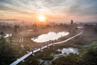 Great Kemeri Bog Boardwalk